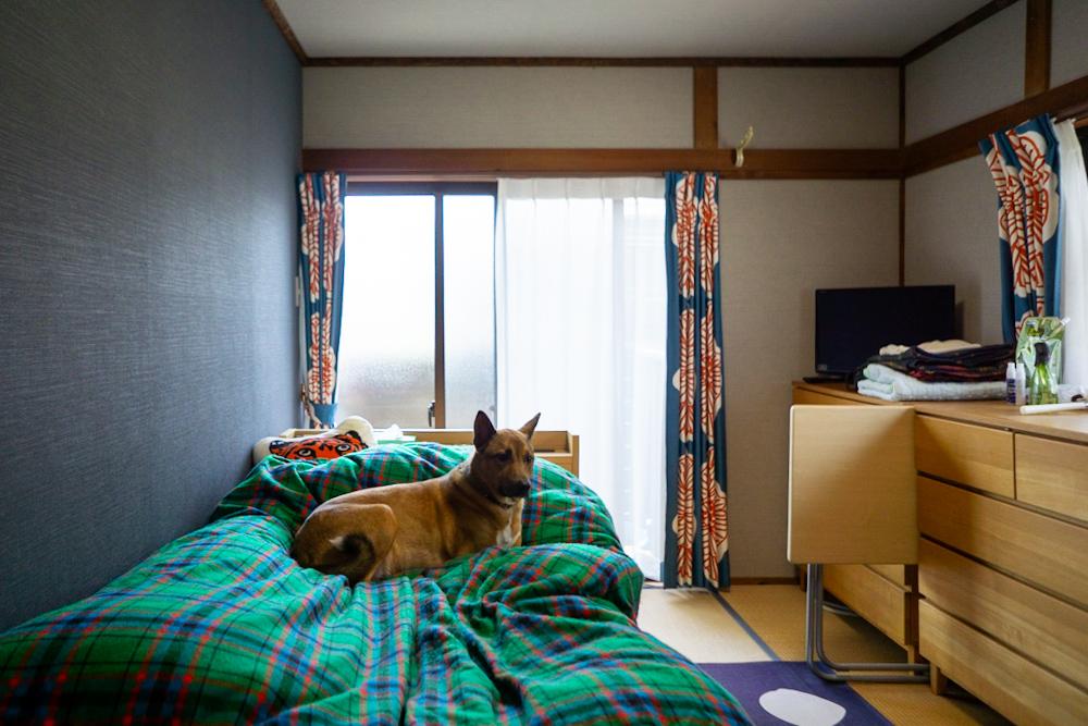 宝塚市仁川台の売買物件/2階の1部屋は和室