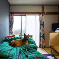 宝塚市仁川台の売買物件/2階の1部屋は和室