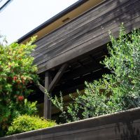宝塚市仁川台の売買物件/塀の上にブラシツリーやオリーブの木がのぞく