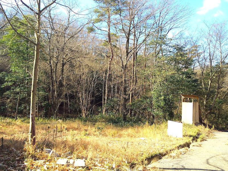 神戸市北区山田町下谷上中一里山の売買物件/ 陽当たりのいい山間に開けた広葉樹の森