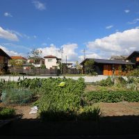 加古川市平岡町新在家の売買物件/敷地に対して有機的に配置されています。