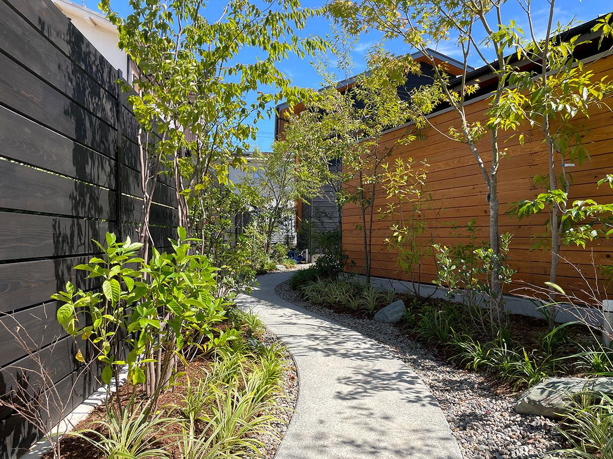 加古川市平岡町新在家の売買物件/里山の木々が植っている小径から家へ