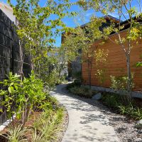 加古川市平岡町新在家の売買物件/C号_里山の木々が植っている小径から家へ