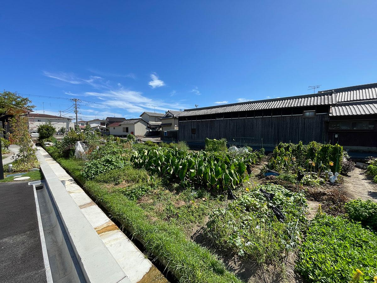 加古川市平岡町新在家の売買物件/隣地の貸農園