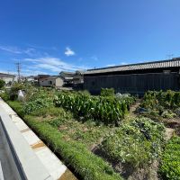 加古川市平岡町新在家の売買物件/隣地の貸農園