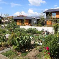 加古川市平岡町新在家の売買物件/畑越しの3棟の家、物件は一番右側になります。