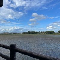 加古川市平岡町新在家の売買物件/寺田池は広くて散歩に最適