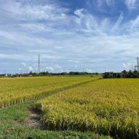 加古川市平岡町新在家の売買物件/少し足を伸ばせば稲美町の田園風景
