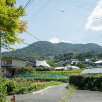 神戸市北区有野町唐櫃の売買物件/周辺は住宅と畑が混在しています
