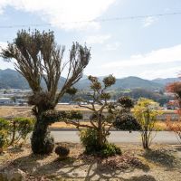 神戸市北区淡河町萩原の売買物件/丘の上にある家の庭からの風景