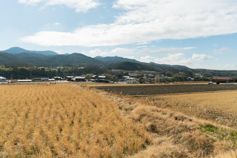 神戸市北区淡河町萩原の売買物件/家の前に広がる田園風景