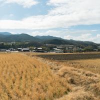 神戸市北区淡河町萩原の売買物件/家の前に広がる田園風景