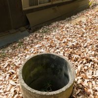 神戸市北区淡河町萩原の売買物件/井戸、あります