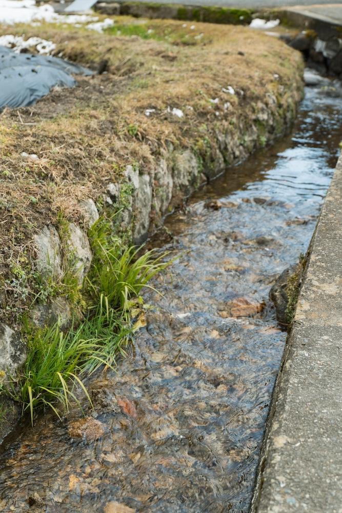 神戸市北区有野町唐櫃の売買物件/畑近くには六甲山からの湧水が流れる小川があり、この水を畑に使えるそう