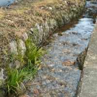 神戸市北区有野町唐櫃の売買物件/畑近くには六甲山からの湧水が流れる小川があり、この水を畑に使えるそう