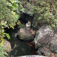 神戸市西区岩岡町岩岡の売買物件/庭の中に小さな池もあります