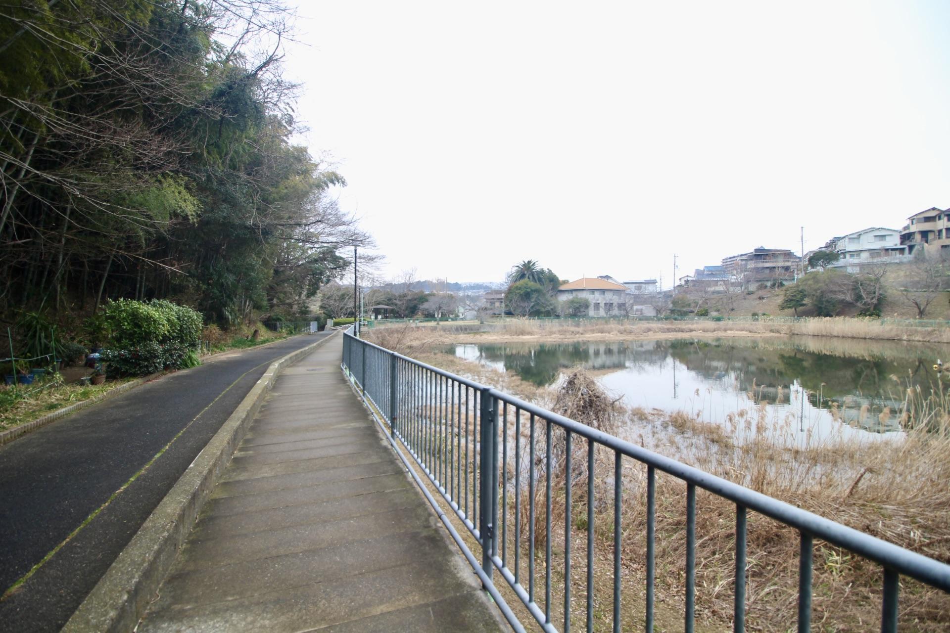 神戸市垂水区塩屋台の売買物件/塩屋駅までの道は、緑豊かで池沿いを歩くので心地いい