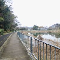 神戸市垂水区塩屋台の売買物件/塩屋駅までの道は、緑豊かで池沿いを歩くので心地いい