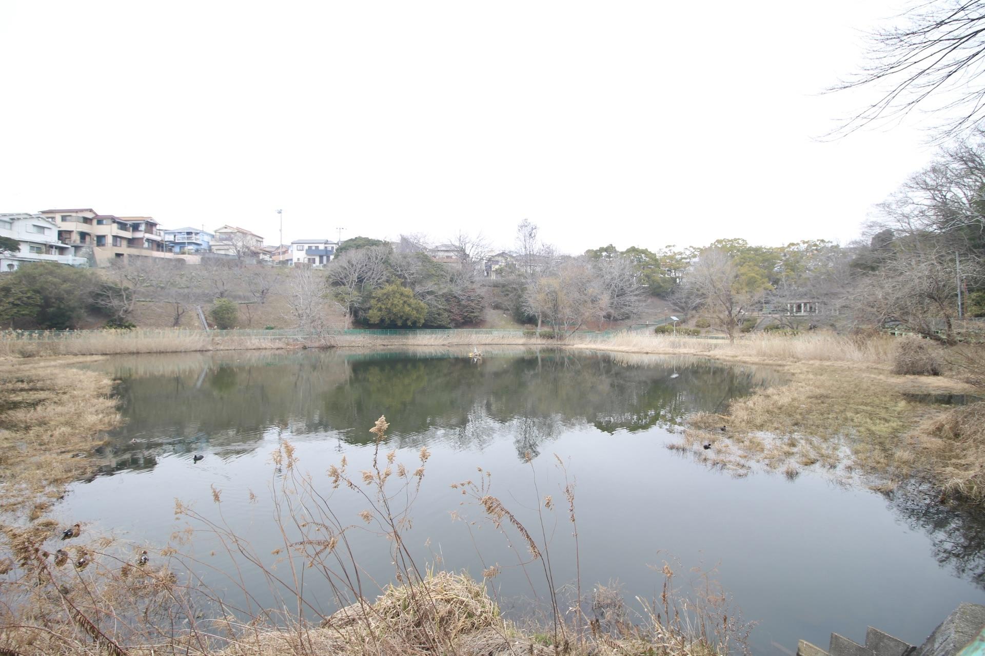 神戸市垂水区塩屋台の売買物件/すぐ近くに池があり、自然を感じる暮らしが広がっています