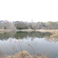神戸市垂水区塩屋台の売買物件/すぐ近くに池があり、自然を感じる暮らしが広がっています