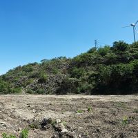 淡路市野島大川の売買物件/広大な土地