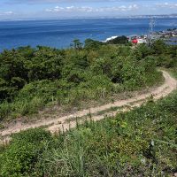 淡路市野島大川の売買物件/山を下っていく途中にある小道を入っていく