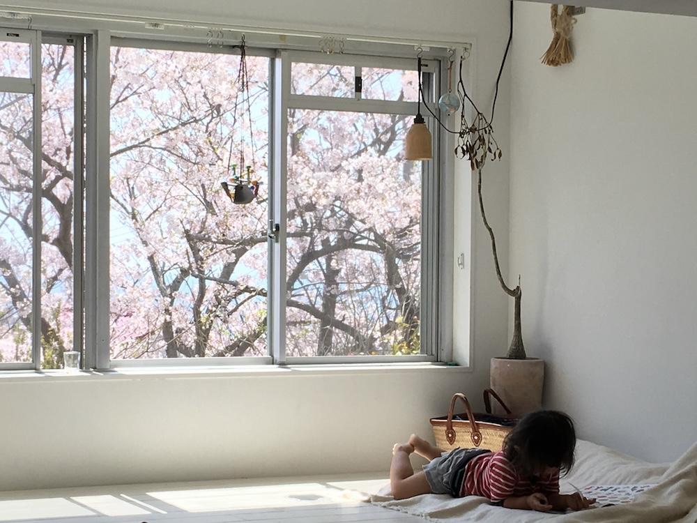神戸市垂水区塩屋町の売買物件/春、桜を望む窓辺は、子どもにとっても特等席