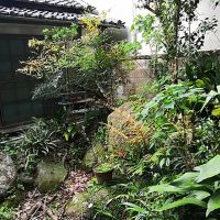 洲本市山手の賃貸物件/庭