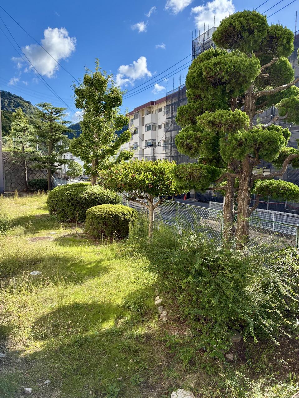 神戸市灘区鶴甲の売買物件/1階のベランダからは庭が見えます。洗濯干しも気持ち良い