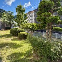神戸市灘区鶴甲の売買物件/1階のベランダからは庭が見えます。洗濯干しも気持ち良い