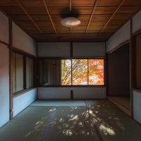 神戸市北区鈴蘭台西町の売買物件/紅葉の木漏れ日