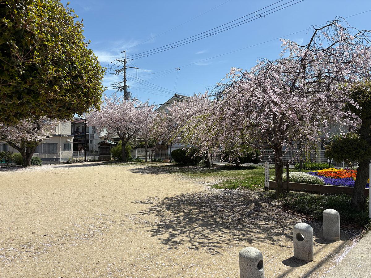 明石市西明石北町の売買物件/近所の公園