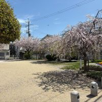 明石市西明石北町の売買物件/近所の公園