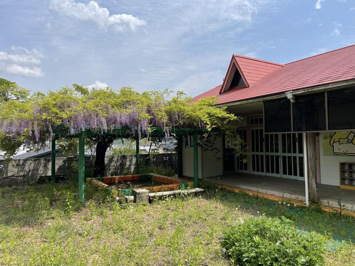 宍粟市山崎町上寺の売買物件/ちょうど藤の花が咲いていました