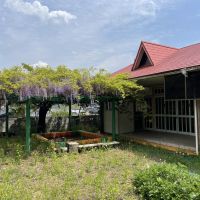 宍粟市山崎町上寺の売買物件/ちょうど藤の花が咲いていました