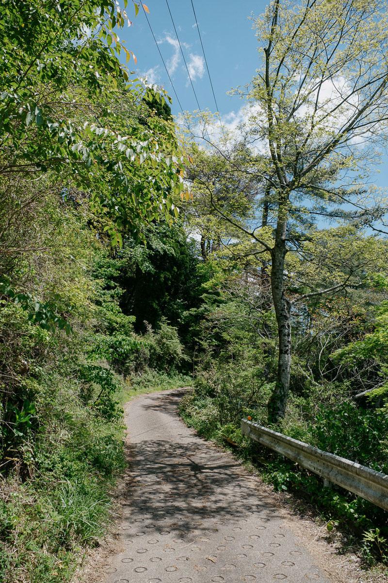 神戸市灘区六甲山町の売買物件/こちらがアクセスする際の山道