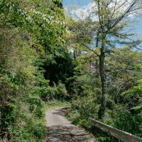 神戸市灘区六甲山町の売買物件/こちらがアクセスする際の山道