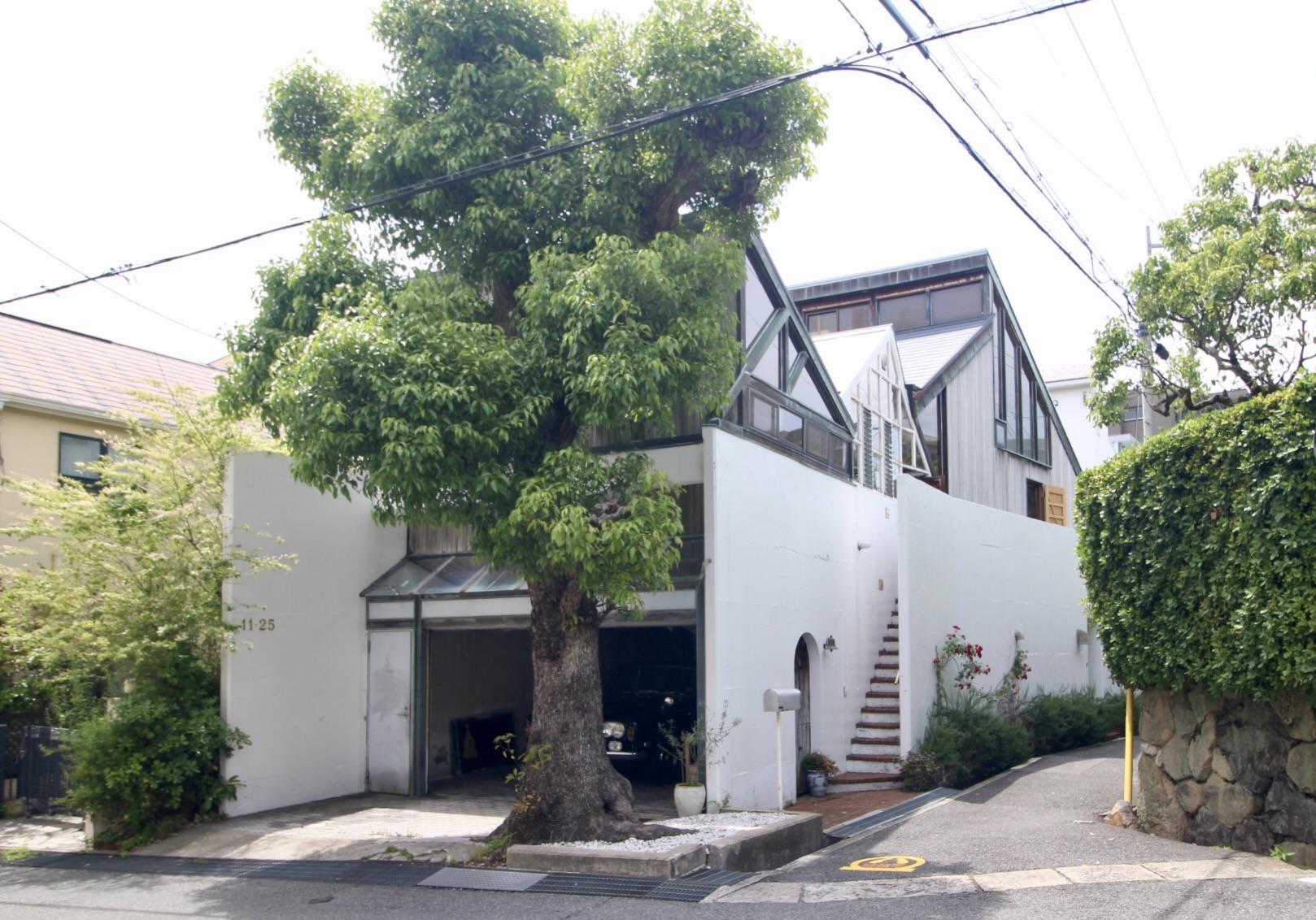 芦屋市翠ケ丘町の売買物件/大きなクスノキと緑に囲まれて、住宅街に凛と佇む一邸。