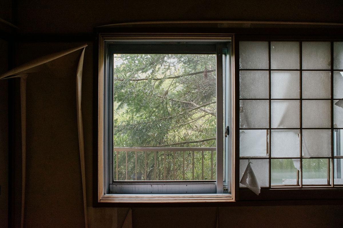 神戸市灘区六甲山町北六甲の売買物件/どの部屋からも、北六甲の森が見える