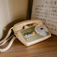 神戸市灘区六甲山町北六甲の売買物件/懐かしい内線電話