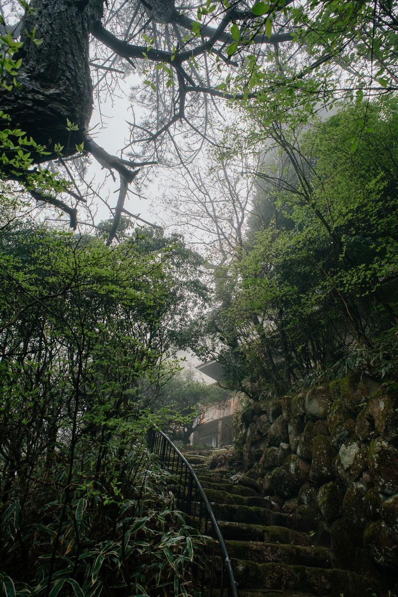 神戸市灘区六甲山町北六甲の売買物件/石垣が立派なアプローチ