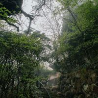 神戸市灘区六甲山町北六甲の売買物件/石垣が立派なアプローチ