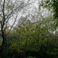 神戸市灘区六甲山町北六甲の売買物件/外観森の中