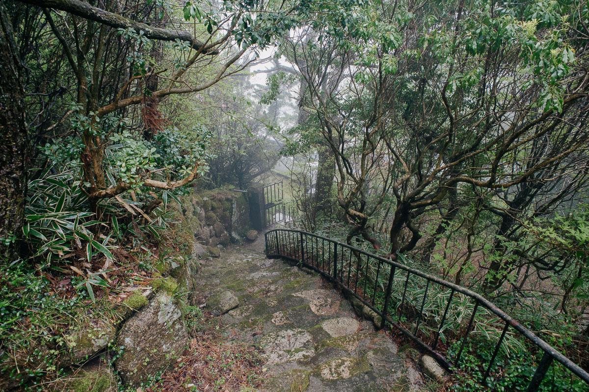 神戸市灘区六甲山町北六甲の売買物件/エントランスへ続く階段