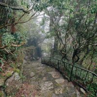 神戸市灘区六甲山町北六甲の売買物件/エントランスへ続く階段