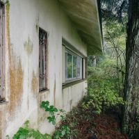 神戸市灘区六甲山町北六甲の売買物件/どんどんと森と同化しているお家