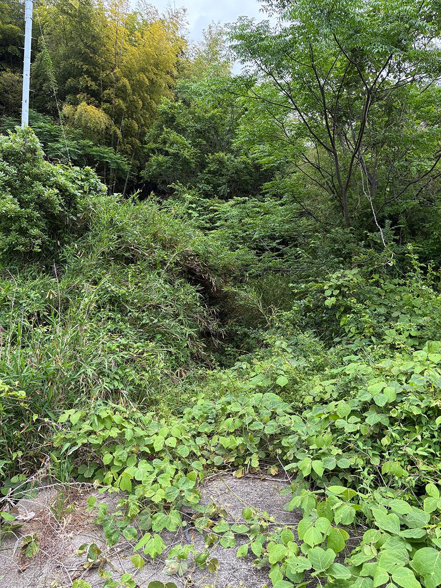 淡路市白山の売買物件/山へと続く道とのこと