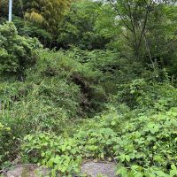 淡路市白山の売買物件/山へと続く道とのこと
