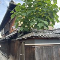 姫路市大塩町の売買物件/北側の庭