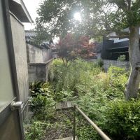姫路市大塩町の売買物件/こちらが扉を開いた第二の庭(草が茂っていますが広さあります)